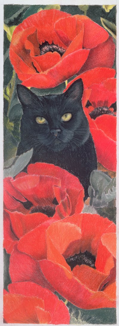 Gato Negro con Amapolas de Anne Robinson