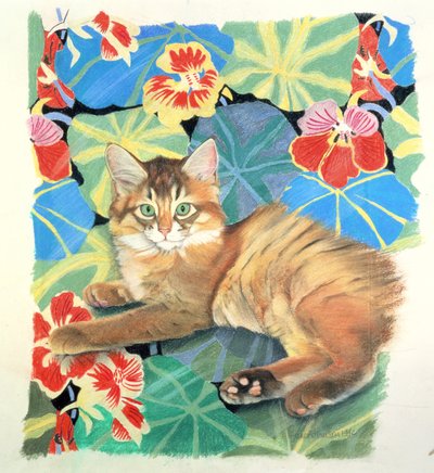 Sootsy y Tela de Dufy de Anne Robinson