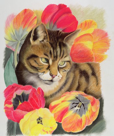 Atigrado y tulipán de Anne Robinson