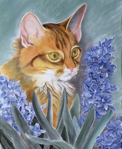 Tosca de Anne Robinson