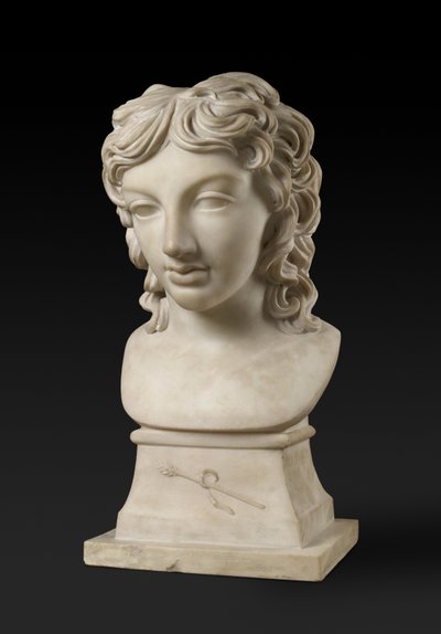 Retrato busto del Príncipe Henry Lubomirski en el personaje de Baco, c. 1787 de Anne Seymour Damer