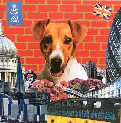 Jack Russel de Anne Storno