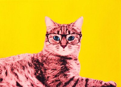 Vida en tecnicolor, 2017 de Anne Storno
