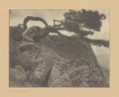 El Pino Solitario de Anne W. Brigman