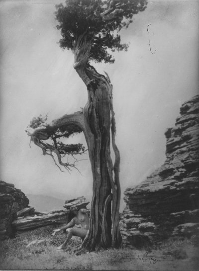 Sin título (Desnudo en la base de un cedro) de Anne W. Brigman
