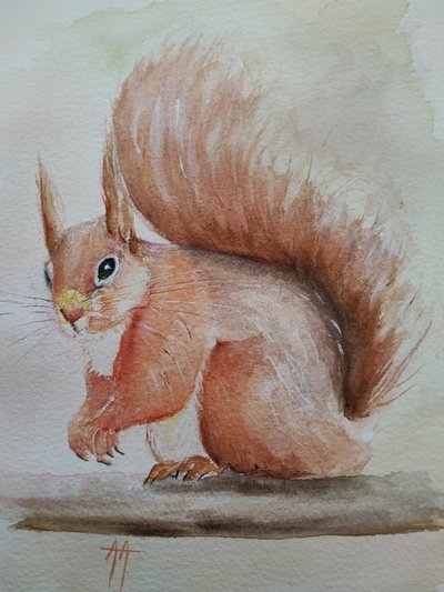 Una linda ardilla roja de Annette Armitage