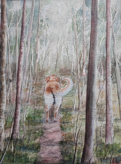 Paseo por el bosque con el perro de Annette Armitage