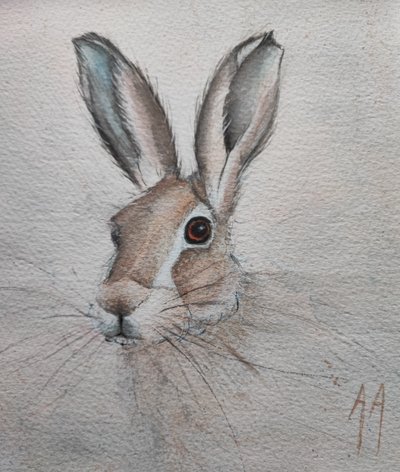 Retrato de una liebre apacible de Annette Armitage