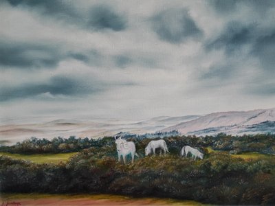 Los tranquilos ponis de los páramos de Annette Armitage
