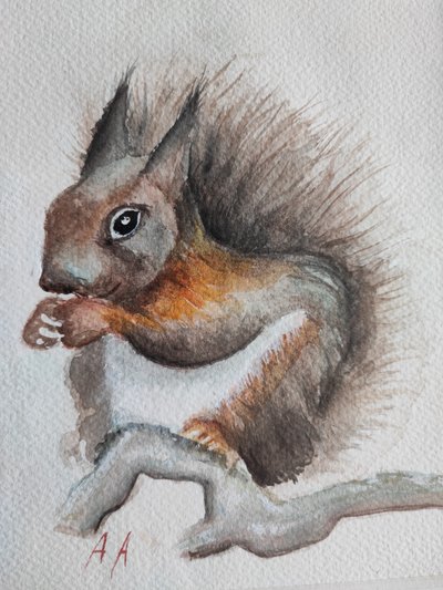Ardilla del bosque en acuarela de Annette Armitage