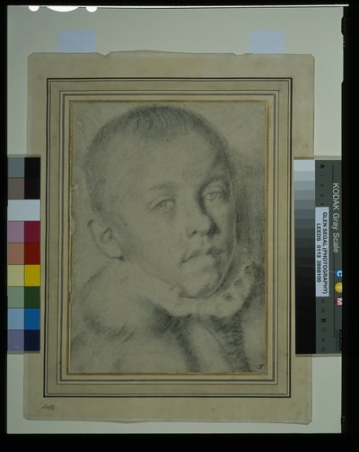 Retrato de un niño de Annibale (follower of) Carracci
