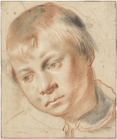 Estudio de la cabeza de un niño
Estudio de la cabeza de un niño de Annibale Carracci (attributed to)