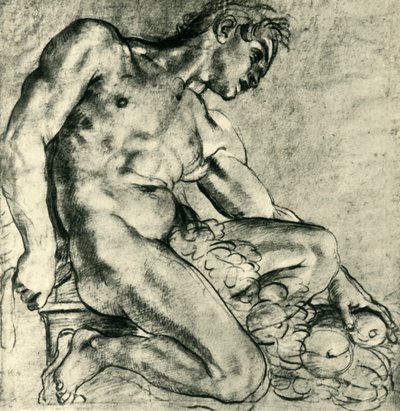 Un Ignudo sentado con una guirnalda, 1598-1599 de Annibale Carracci