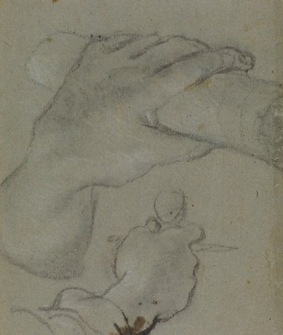 Carracci - v estudio para las manos de San Juan el E, RCIN 902115 de Annibale Carracci