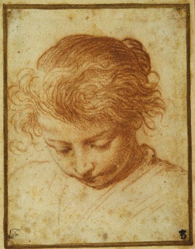 Cabeza de una niña mirando hacia abajo de Annibale Carracci