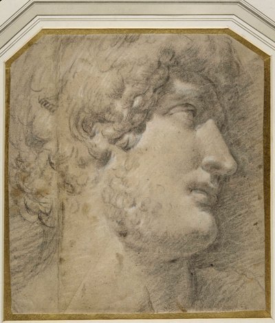 Cabeza del Emperador Galieno (o ¿Adriano?), después del antiguo de Annibale Carracci