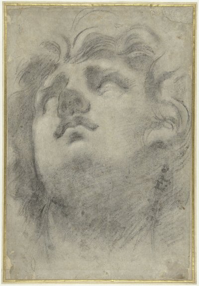 Avistamiento de la cabeza de un tritón de Annibale Carracci