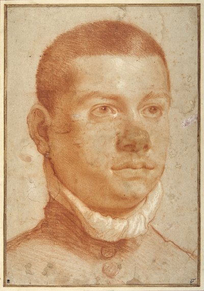 Retrato de un joven (tiza roja) de Annibale Carracci