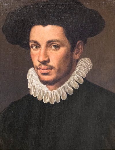 Retrato de un joven de Annibale Carracci