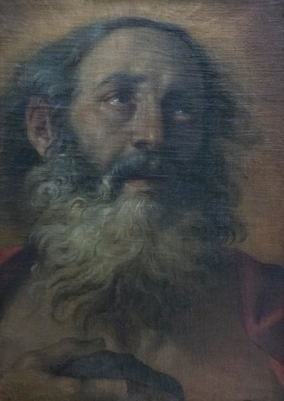San Jerónimo de Annibale Carracci
