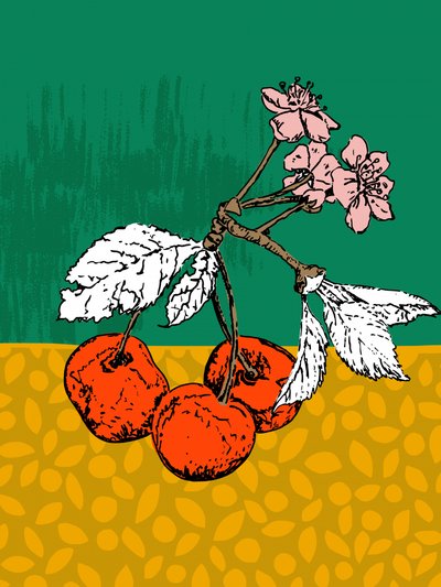 Flores de cerezo de Annick