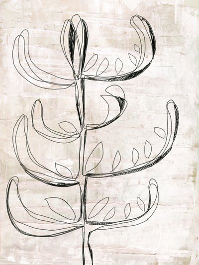 Boceto botánico orgánico de Annick