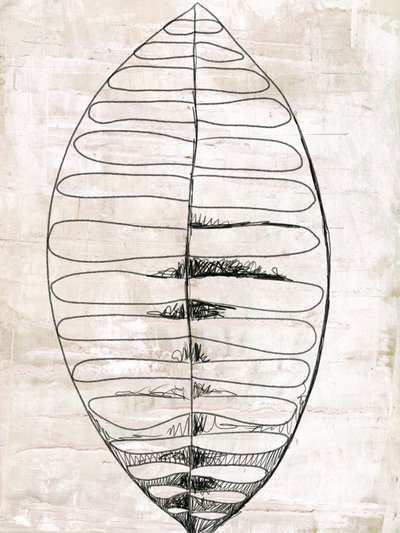 Dibujos de hojas en estilo «line art» orgánico de Annick