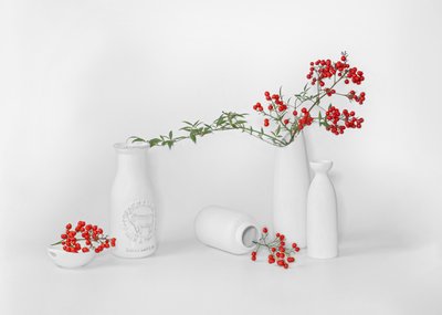 Exposición minimalista de frutos rojos de Annie Poreider