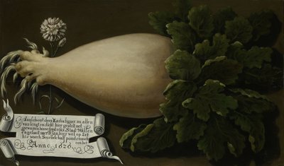 Un rábano gigante de Anonymous