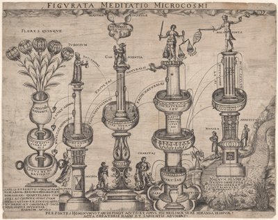 Alegoría de la naturaleza y la naturaleza humana (microcosmos) Figurata Meditatio Microcosmi (título sobre objeto) de Anonymous
