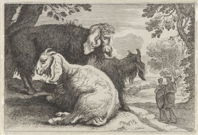 Ovejas de angora Paisajes con animales (serie A) (título de la serie) de Anonymous