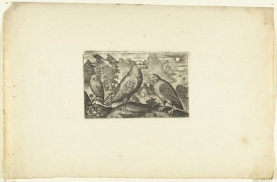 águila y una perdiz Volatilium varii generis (...) (título de la serie) de Anonymous