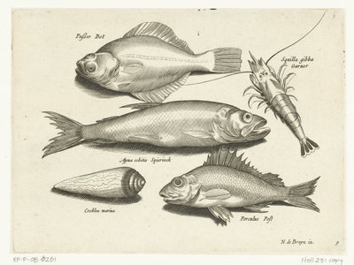 Platija, camarón, eperlano y pos
Libelivs varia Genera piscium complectens (título de la serie)
Peces de agua dulce, peces de mar, ranas, crustáceos y criaturas marinas (título de la serie) de Anonymous
