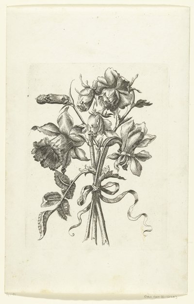 Tres flores, incluyendo un narciso y un clavel. Novae Florum Icones (título de la serie) de Anonymous
