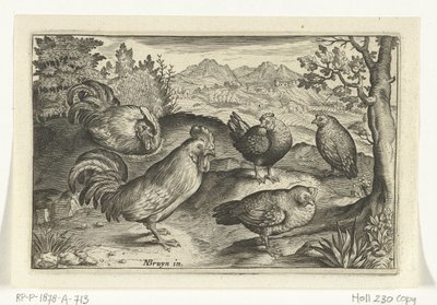 Tres gallinas y dos gallos Pájaros e insectos (título de la serie) de Anonymous