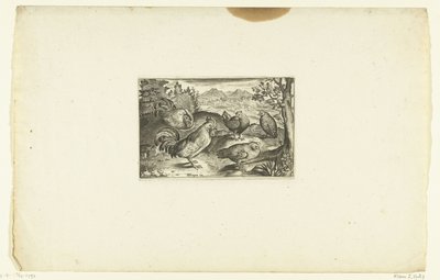 Tres gallinas y dos gallos Volatilium varii generis (...) (título de la serie) de Anonymous