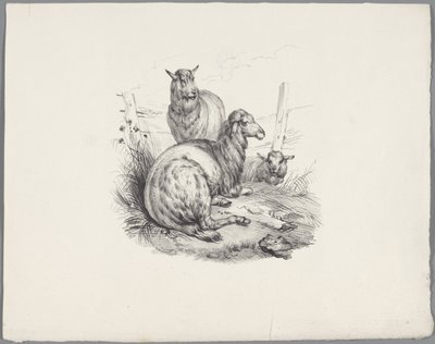 Tres ovejas en una cerca Seis estudios con animales pequeños (título de la serie) Seis pequeños estudios de bestias (título de la serie sobre el objeto) de Anonymous