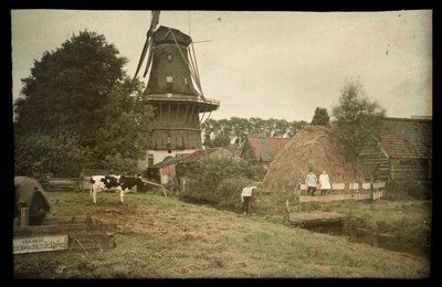 Escena de la granja, con un molino de viento, una vaca atada y niños posando, Países Bajos de Anonymous