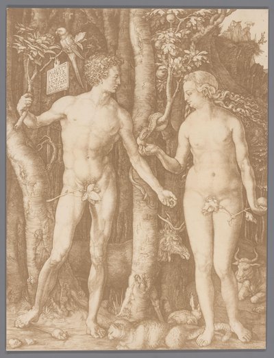 Reproducción fotográfica del grabado Adán y Eva de Albrecht Dürer de Anonymous