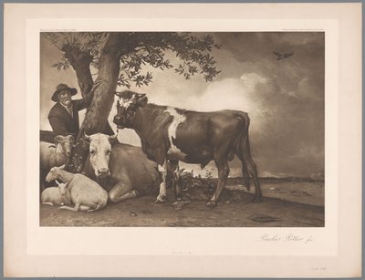 Reproducción fotográfica de la pintura El toro de Paulus Potter, coll. Mauritshuis 1904 - núm. 54. / Königl. Museo de La Haya (título de la serie) de Anonymous
