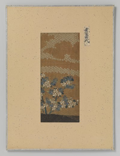 Fragmento textil de Anonymous