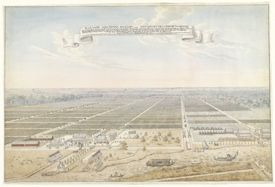Vista de la plantación de café de Leeverpoel en Surinam
Plantagie Leeverpoel Geleegen Rievier Cottica izquierda vela (título en el objeto) de Anonymous