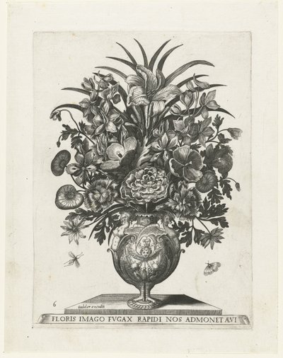 Jarrón grotesco con querubín y guirnaldas Jarrones con flores (título de la serie) de Anonymous