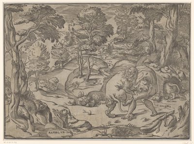 Hércules y el león de Nemea de Anonymous