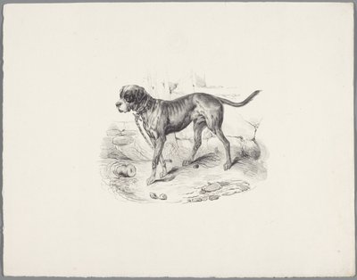 perro en una cadena Seis estudios con animales pequeños (título de la serie) Seis pequeños estudios de bestias (título de la serie sobre el objeto) de Anonymous