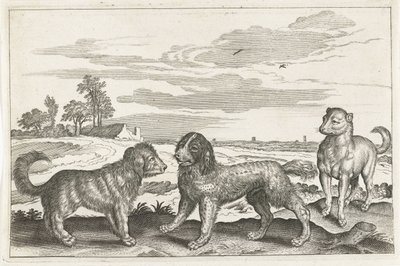 perros Animales de cuatro patas (título de la serie) Animalivm Qvaddrvpedvm (título de la serie) de Anonymous