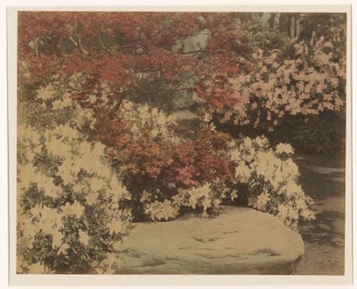 jardín japonés con flores de Anonymous