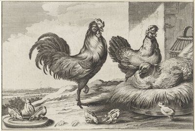 Gallina, gallos y pollitos Especies de Diversae avium (título de la serie) Aves diferentes (título de la serie) de Anonymous