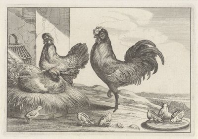Gallina, gallos y pollitos Especies de Diversae avium (título de la serie) Aves diferentes (título de la serie) de Anonymous