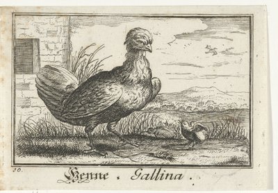 pollo con pollito Henna, Gallina. (título en el objeto) de Anonymous